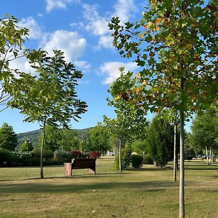 Vila Cu Mesteceni Campina Exterior photo