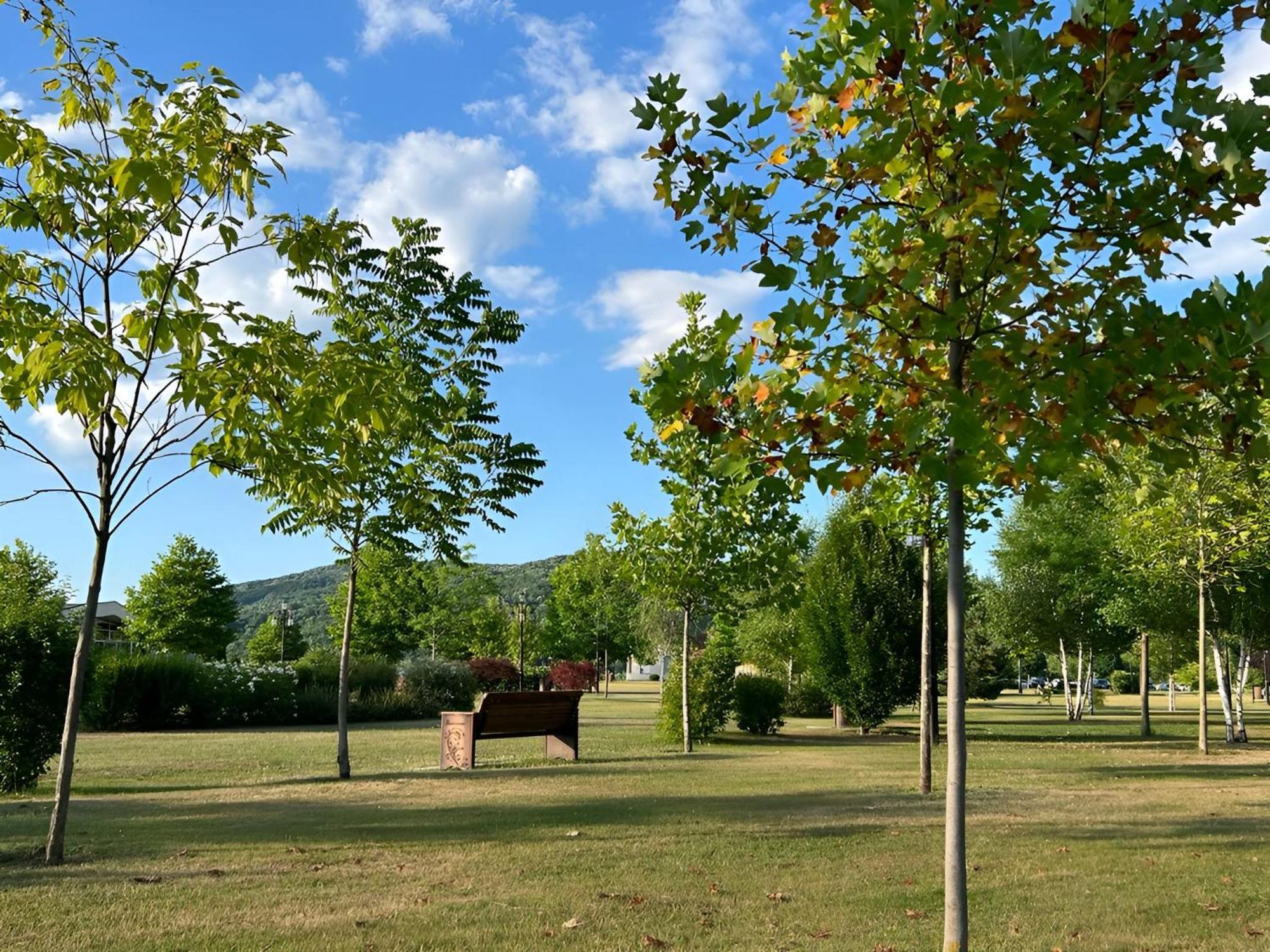 Vila Cu Mesteceni Campina Exterior photo